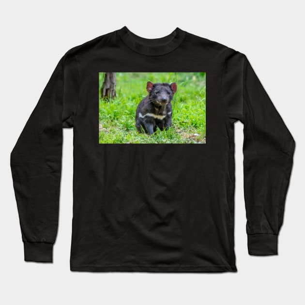 Tasmanian Devil watching Long Sleeve T-Shirt by kathiemt